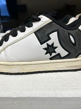 DC White Skater Sneakers